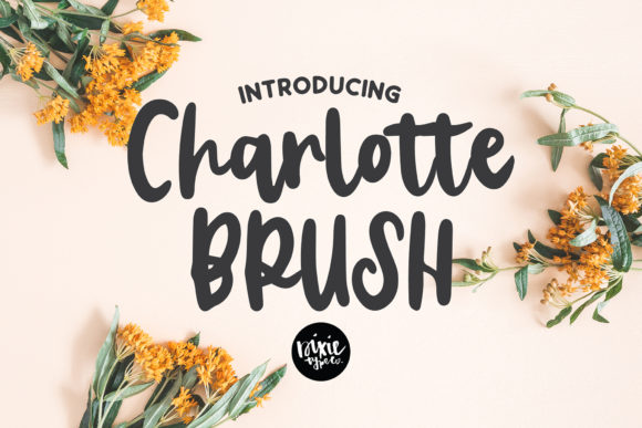 Charlotte Brush: A Script Font That Adds Personality to Campaigns
