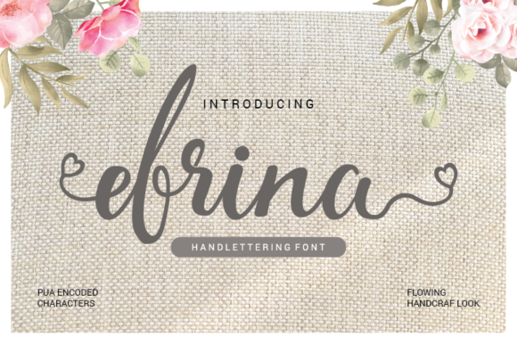 Font Choice That Matters: How Efrina Elevates Campaign Design