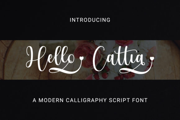 Hello Cattia: A Font That Brings Warmth and Style to Your Brand