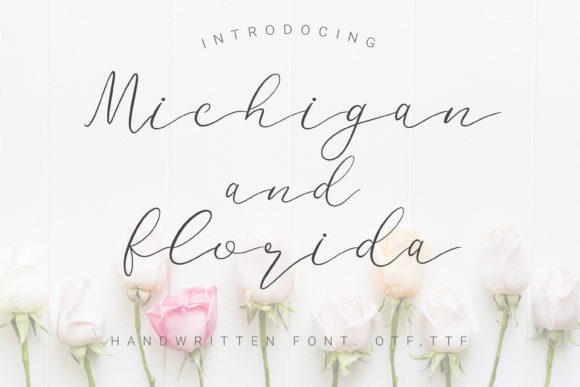 Michigan and Florida: A Timeless Script Font for Web Design